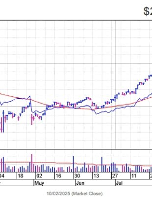 Garmin Surges to Record High as Growth Strategy Pays Off