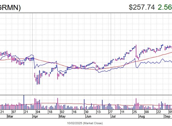 Garmin Surges to Record High as Growth Strategy Pays Off